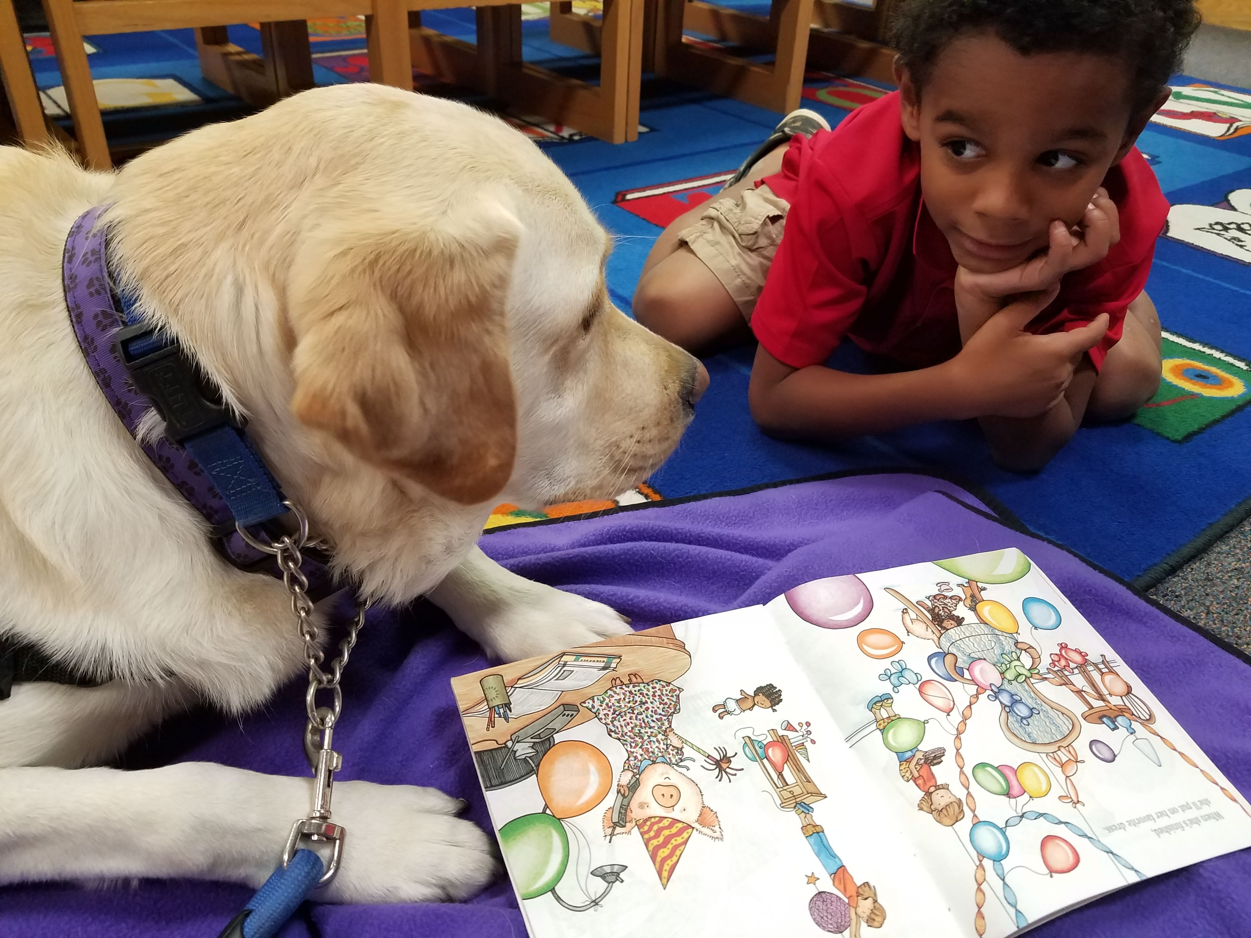 young child and dog reading a book together in school