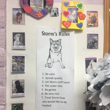 class-made poster of therapy dog's "rules" for petting, surrounded by pictures of dogs