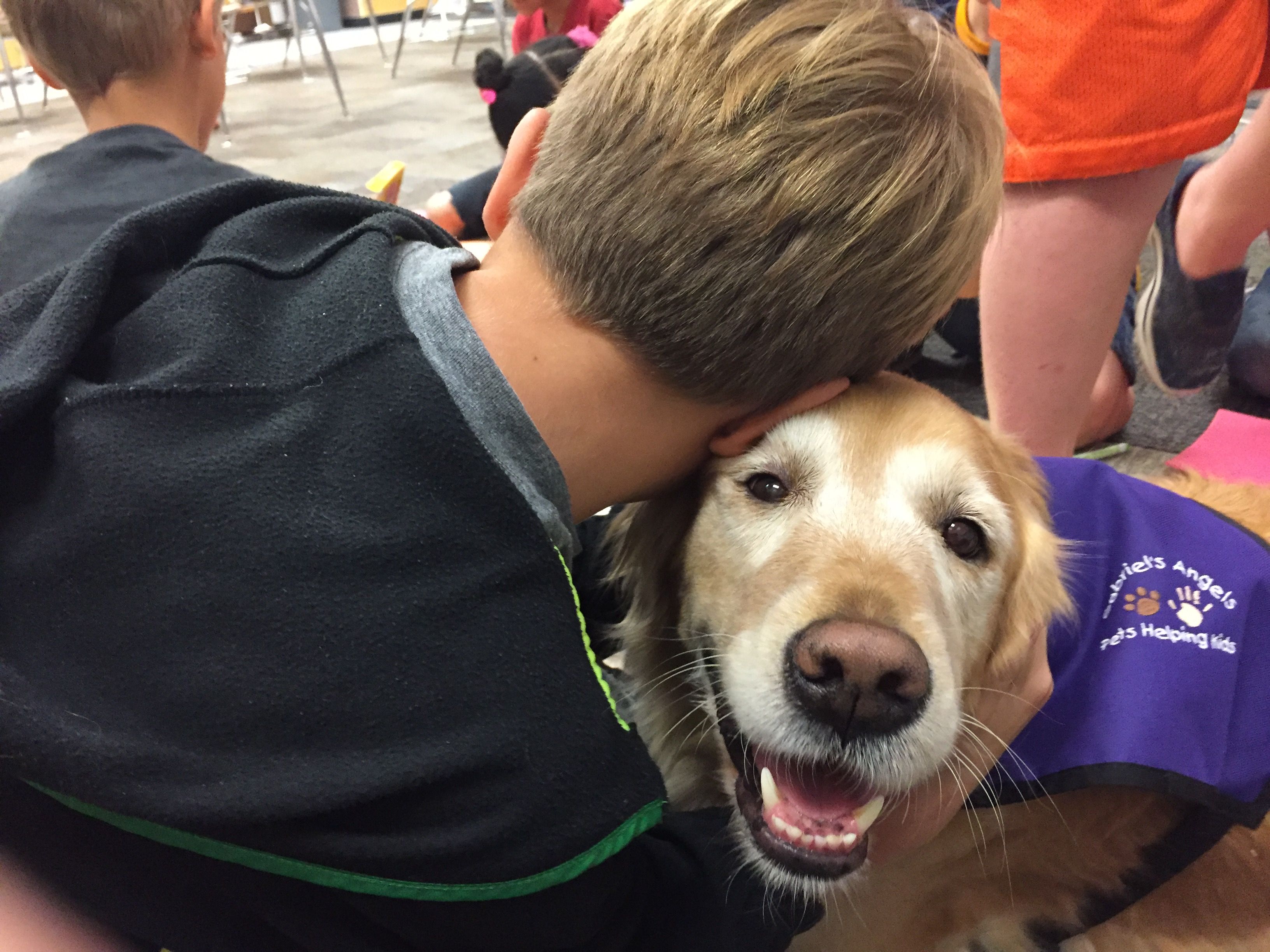 A boy leaning against a therapy dog while in a school classroom