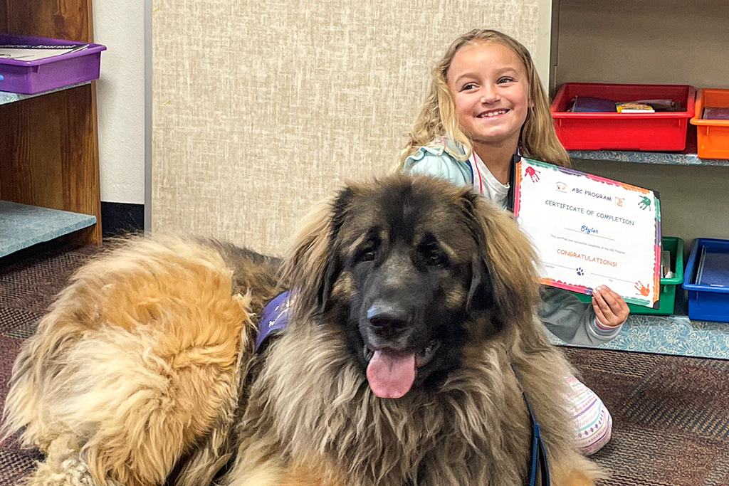Angus, the therapy dog helps children improve their reading skills. 