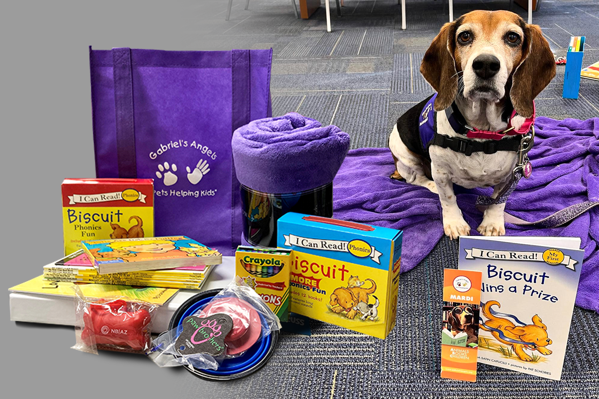 Mardi, the therapy dog with an activity kit.