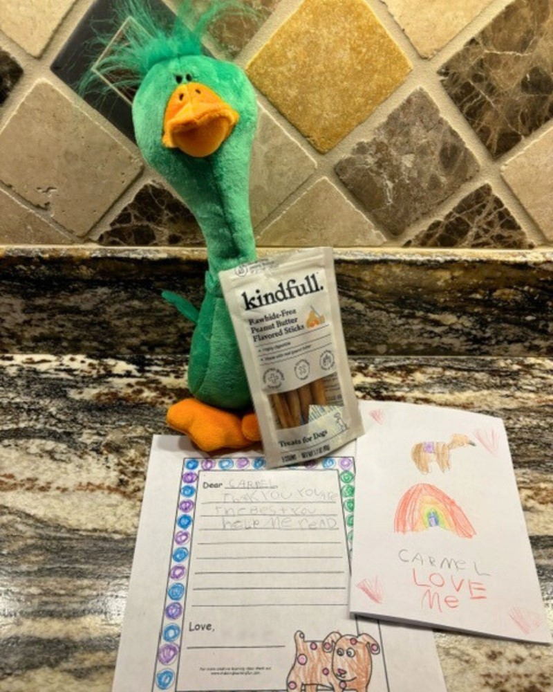 Gifts for Carmel from an ABC Pet Therapy Program participant, including a new toy, dog treats, love letter note, and handmade card.