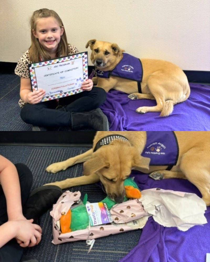 Top: A little girl holds her Certificate of Completion for the ABC Pet Therapy Program and poses next to Carmel. Below: Carmel checks out the gifts from her student.